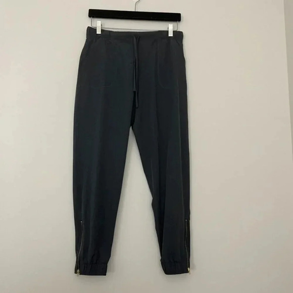 Albion Fit The Jetsetters Gray Jogger Pants Size Small - Picture 1 of 6